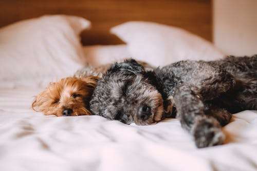 How to Increase Deep Sleep (And Why It Matters)