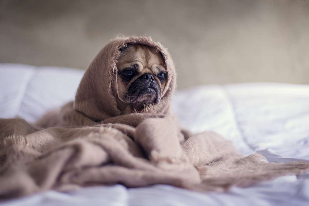 You’re Probably Not Getting Enough Sleep