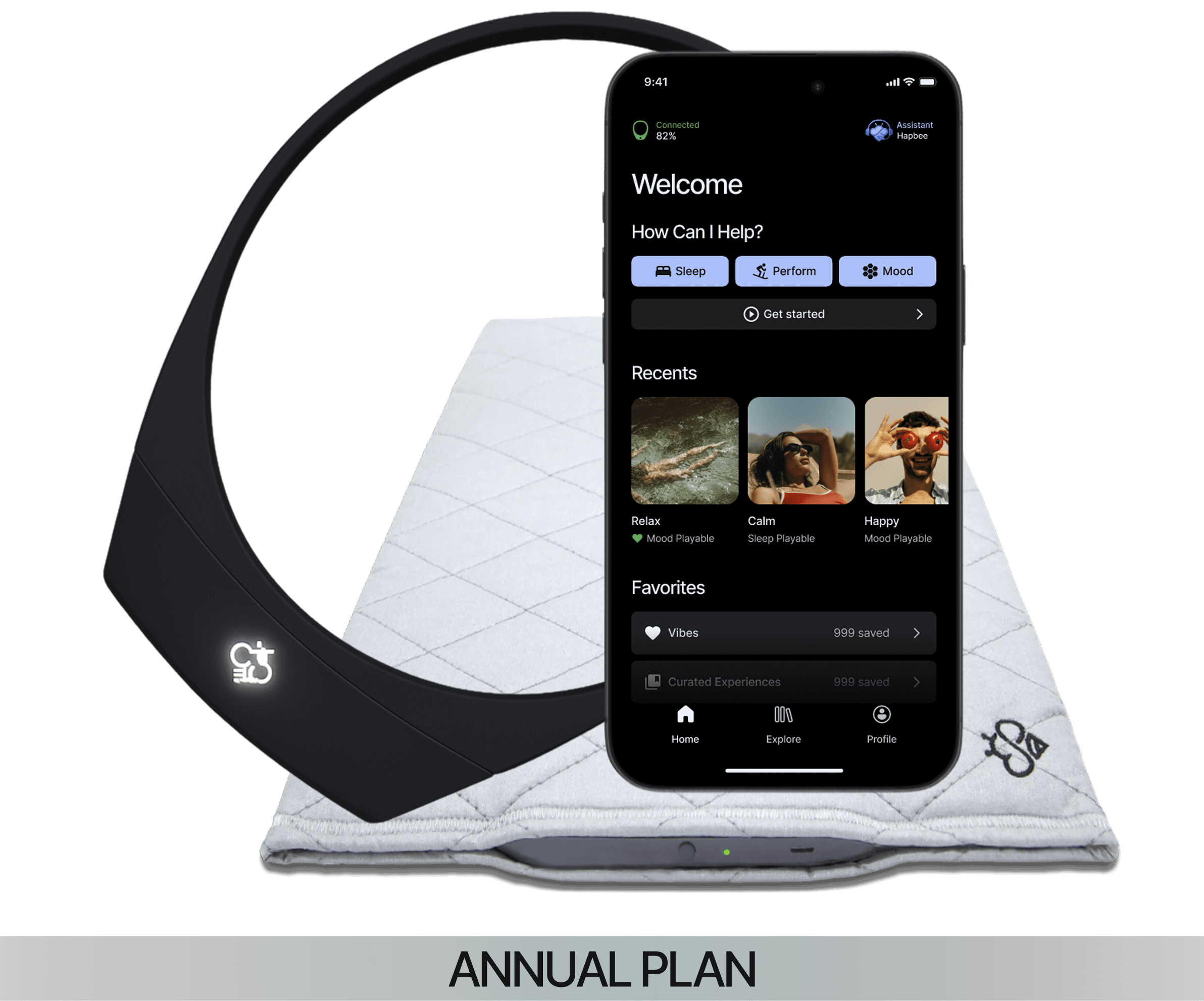 Hapbee Membership (Annual Plan)